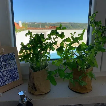 Joia Da Casa House With Private Pool Ferienhaus