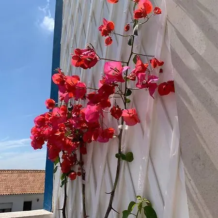 Joia Da Casa House With Private Pool Ferienhaus