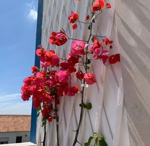 Joia Da Casa House With Private Pool Сasa de vacaciones